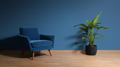 Șapte culori clasice pentru interior care vor oferi instantaneu casei tale un aspect elegant