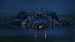 Crocodilii se tem doar de un singur prădător – și cu siguranță nu este omul.