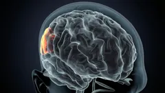 O analiză detaliată a consecințelor pe care le are lipsa frecventă de somn.