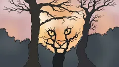 Ce vedeți în această imagine? Un test psihologic care arată cum percepeți lumea.